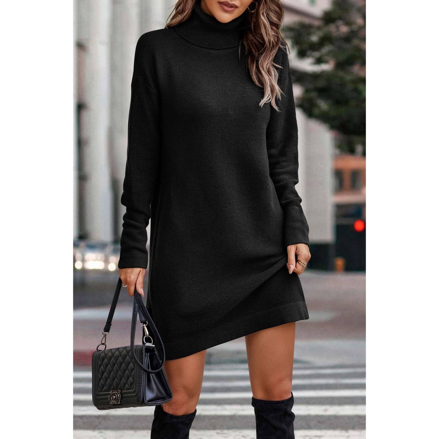 Roll Neck Knit Solid Sweater Dress